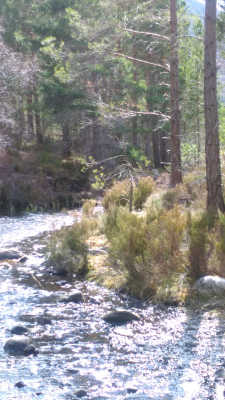 Loch Eilein 1